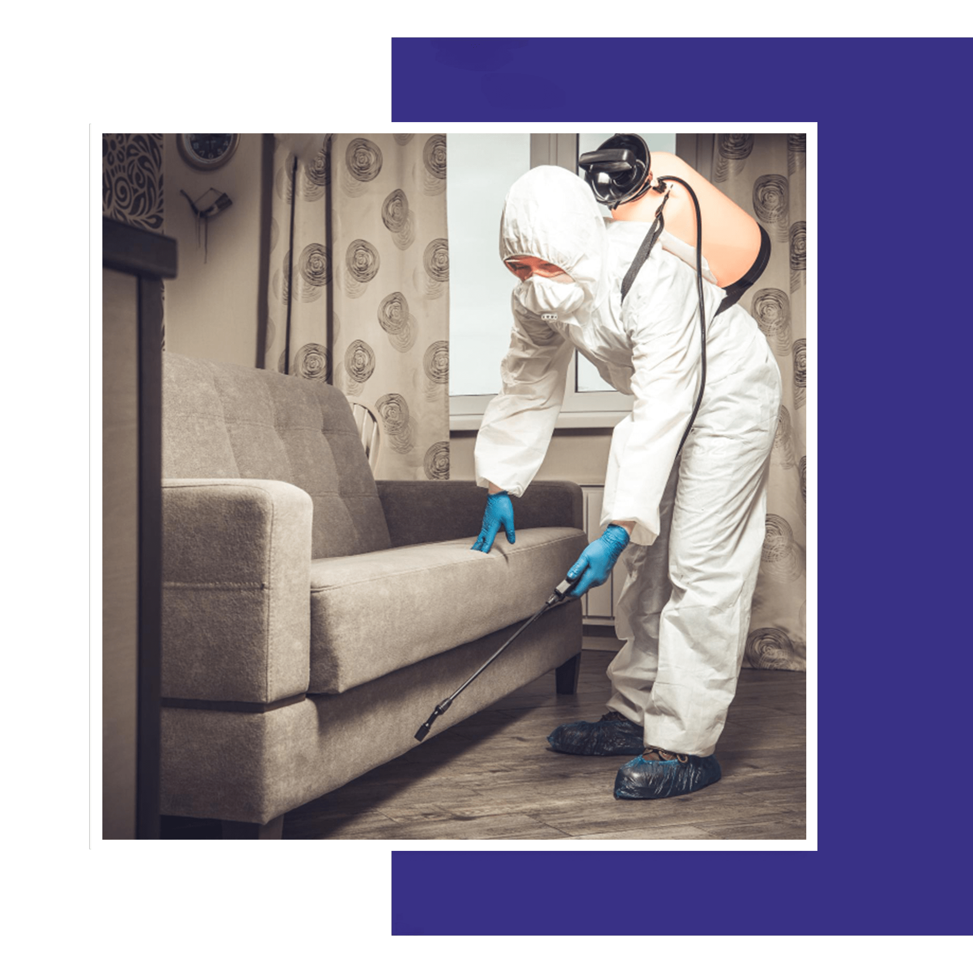 Commercial Pest Control