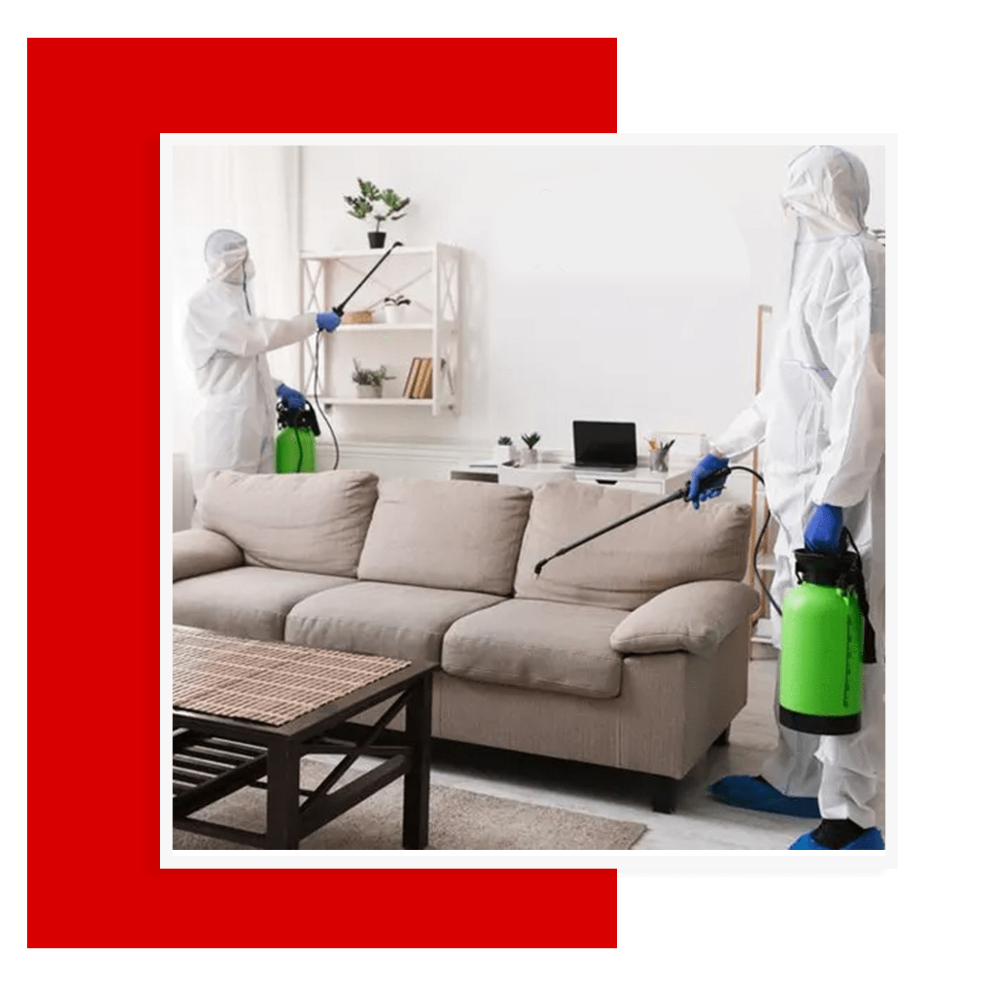 Domestic Pest Control